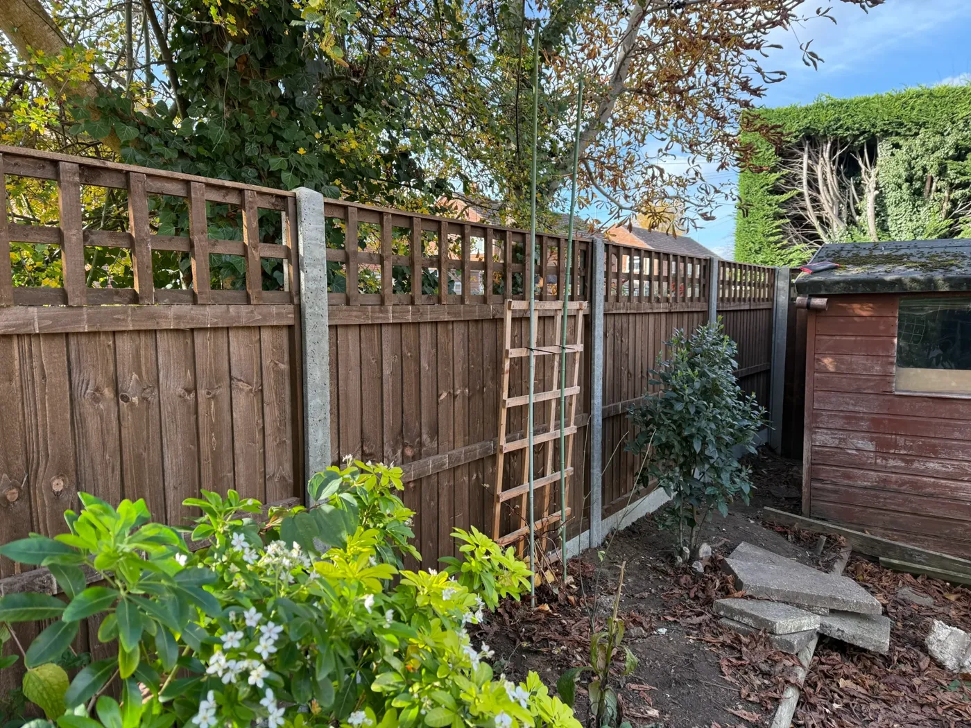 Trellis topped fence panels fitted