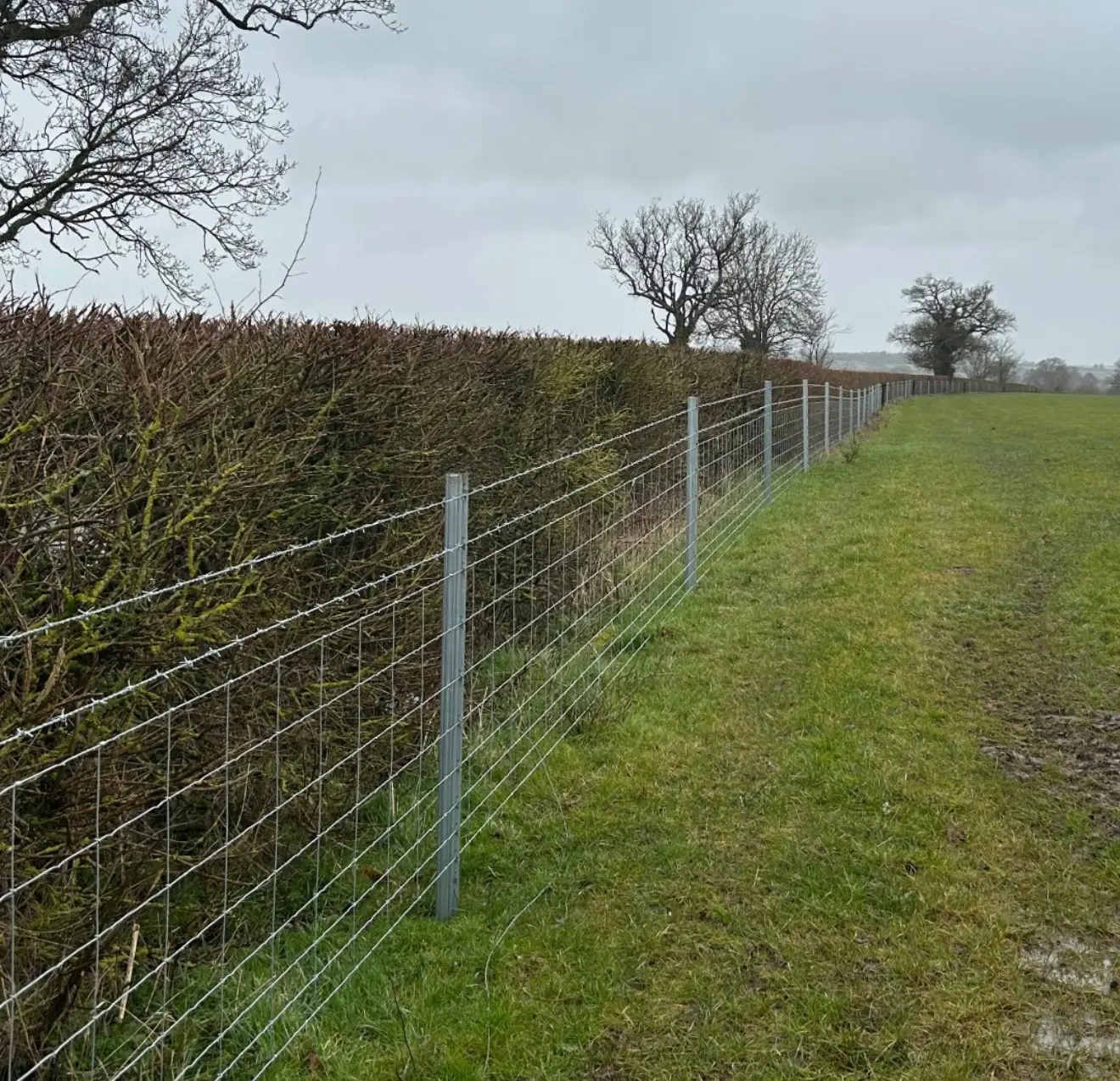 Field boundary fencing countryside